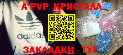 крисы Будённовск